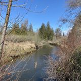 Hood Canal and Theler Wetlands Trails, Washington - 490 Reviews, Map ...