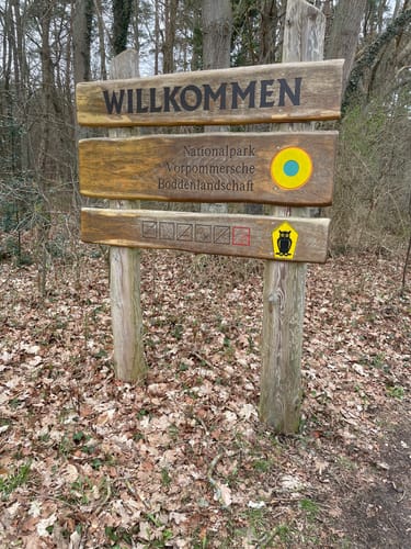 Zwischen Born und Bliesenrade