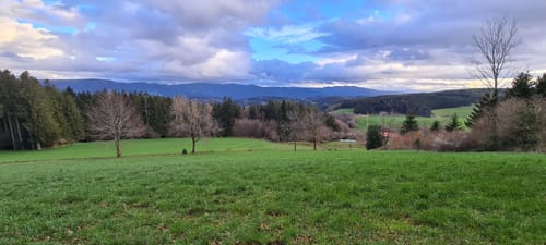 Kirchhöfe - Uhlsbach - Höhenhäuser