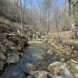 Signal Point Trail via Suck Creek Road, Tennessee - 480 Reviews, Map ...