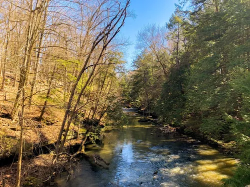 Best trail running trails in Mill Creek Park AllTrails