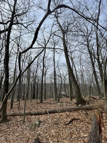 Best Hikes and Trails in Seth Low Pierrepont State Park Reserve AllTrails