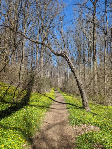 Best Hikes and Trails in Kenealy Nature Park | AllTrails