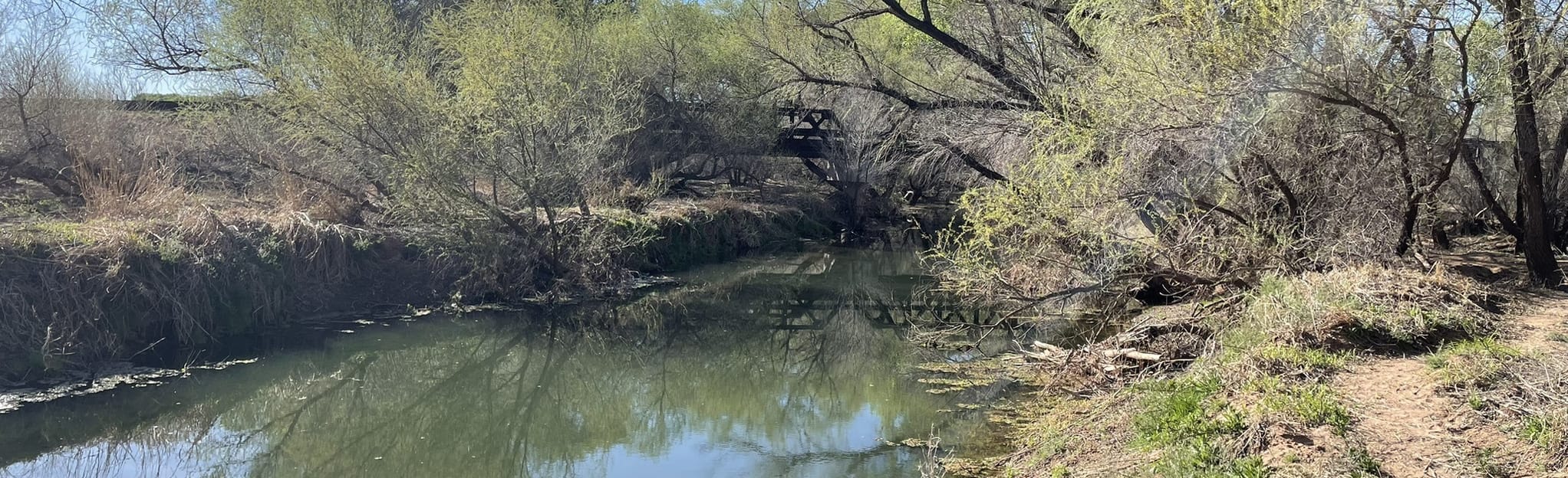 San Pedro River Trail North from Hereford Bridge, Arizona 24 Reviews