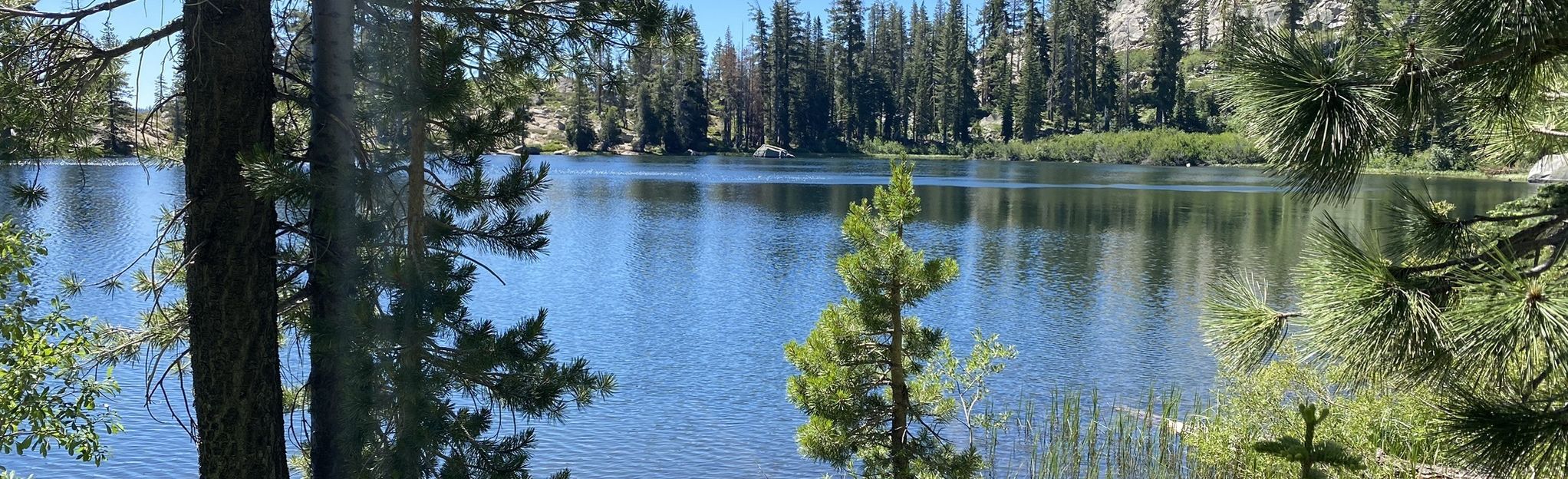 AllTrails | Angela, Flora, and Azalea Lake via Donner Summit Lakes ...