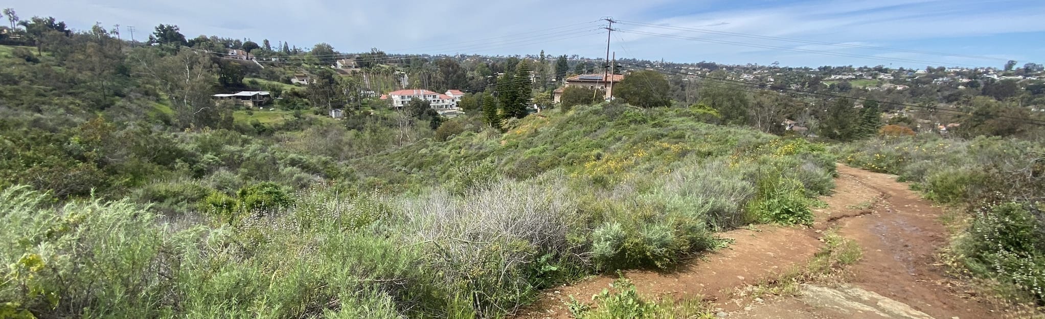 AllTrails Wildflower Trail 834 Reviews, Map California