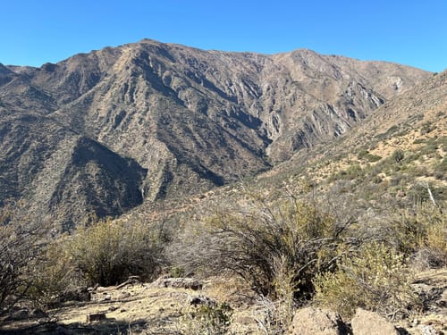 Best Hikes and Trails in Puente Ñilhue Park AllTrails