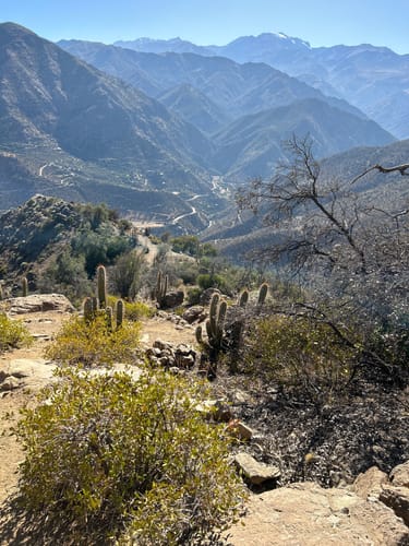 Best Hikes and Trails in Puente Ñilhue Park AllTrails