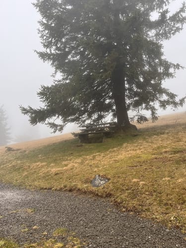 Glottertal - Gullerkopf - Gummenhütte