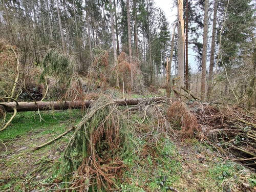 Wanderweg J3 Stausee, Fernblicke und Burgruine