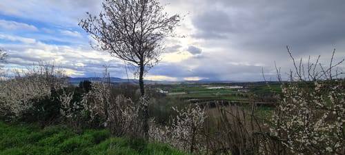 Panoramawegt Augenweide Malterdingen