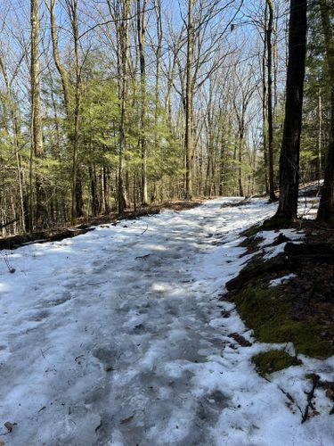 daniels road state forest trail map