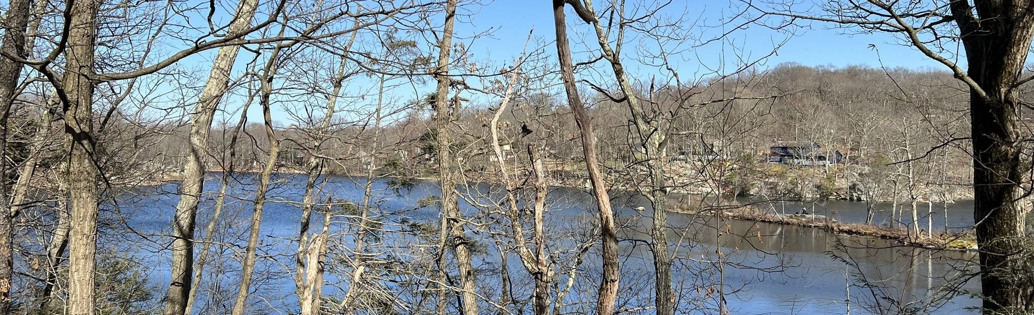 Tamarack Trail to Johnson Lake 29 Reviews, Map New Jersey AllTrails