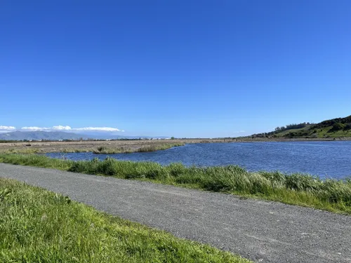 10 Best Hikes and Trails in Coyote Hills Regional Park | AllTrails