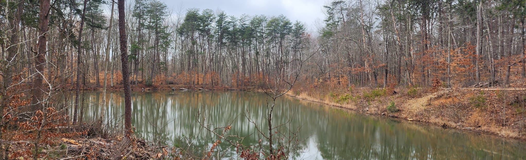 AllTrails | Ni River Trail: 279 Reviews, Map - Virginia