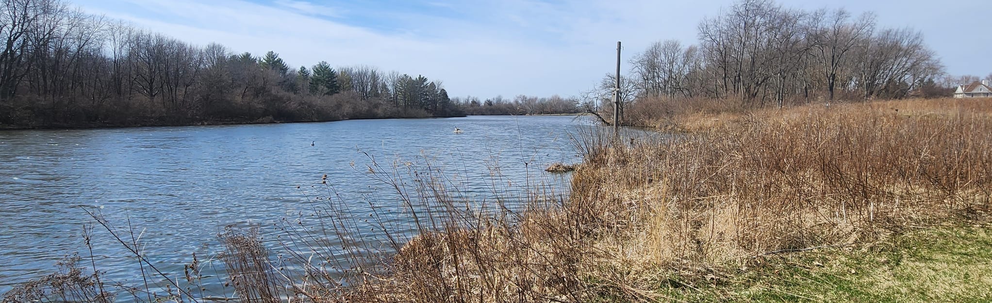 Homer Lake Outer Loop 23 Reviews, Map Illinois AllTrails