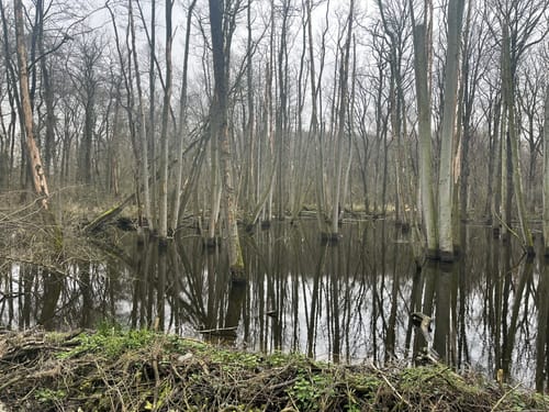Traumweg Wildes Schaagbachtal