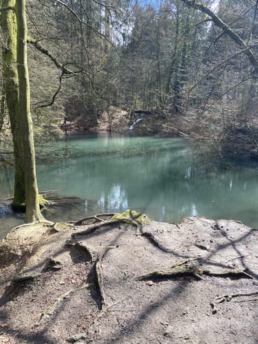 Kronensee Rundwanderung