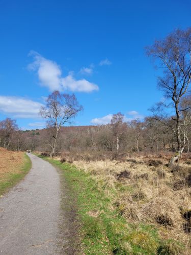 Best 10 Hikes and Trails in Cannock Chase Area of Outstanding Natural ...