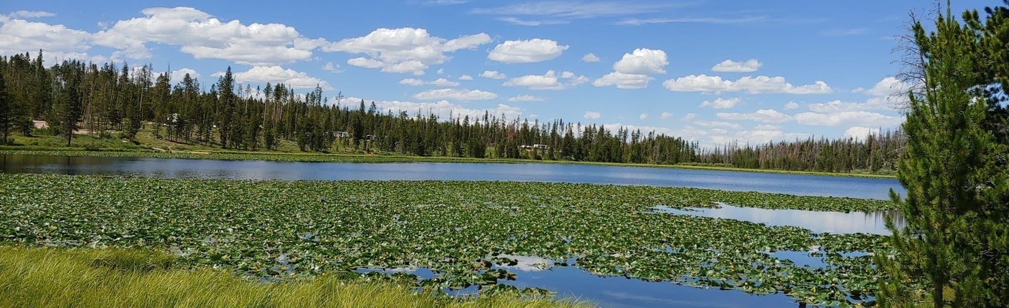 Bridger Lake Shore Trail, Wyoming 7 Reviews, Map AllTrails