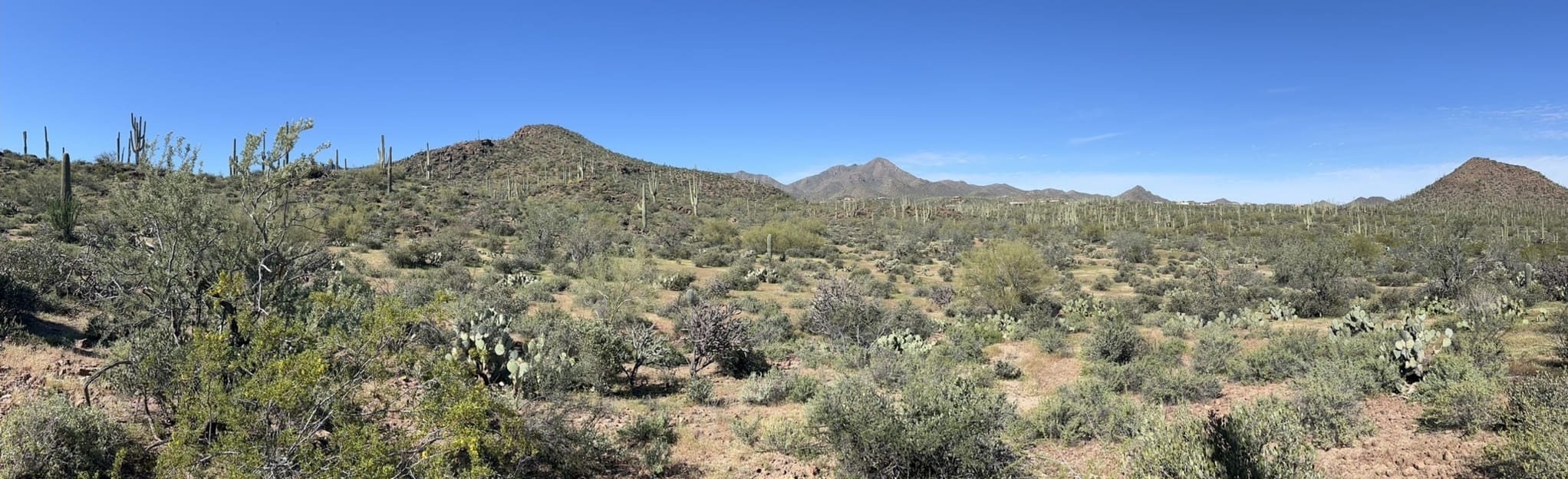 saguaro vista trail loop