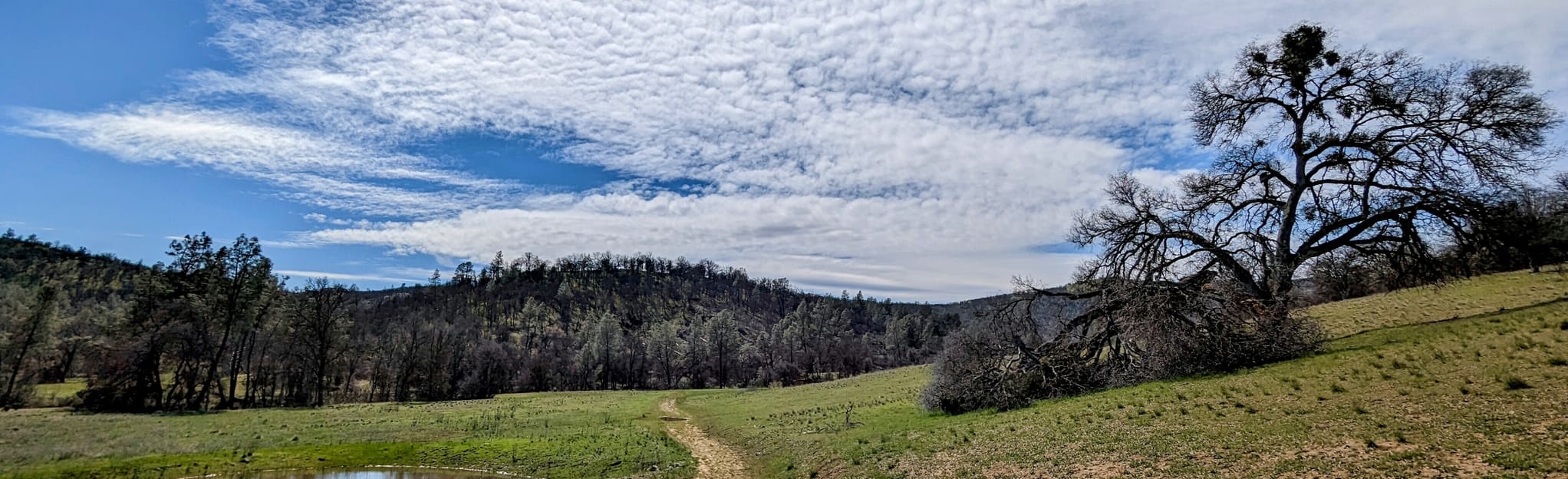 Ridge Spur Loop via Cache Creek Ridge Trail 16 Reviews, Map