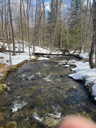 2023 Best Views Trails in Jonesville AllTrails