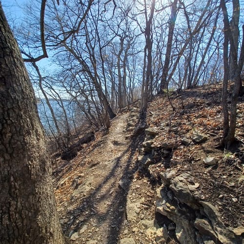 Best Hikes and Trails in Camp Branch Park AllTrails