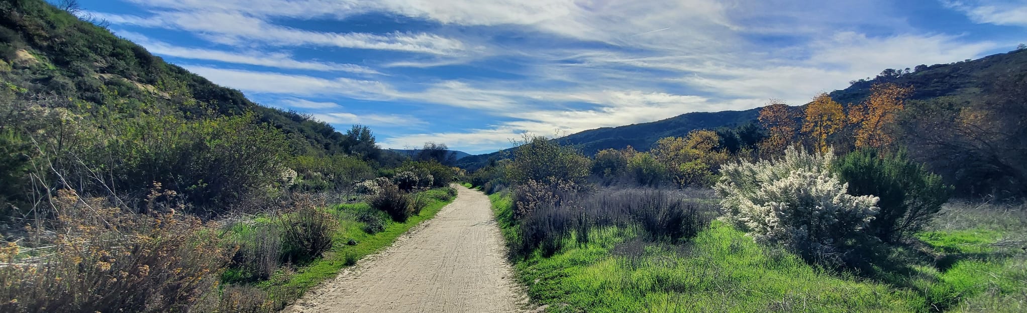 Wood Canyon Trail California AllTrails