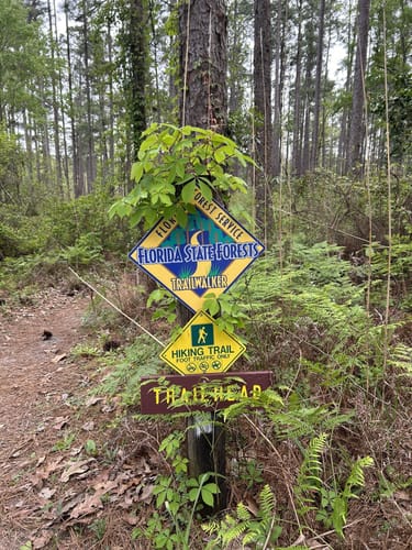 Best Hikes and Trails in Bear Lake Recreation Area | AllTrails