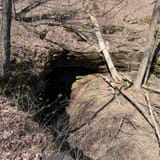 Sand Cave Trail, Kentucky - 285 Reviews, Map | AllTrails