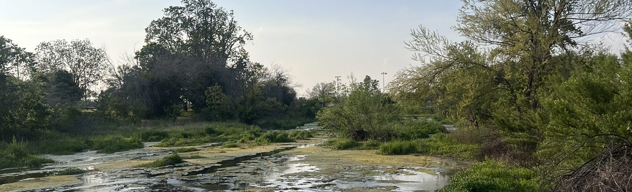 Lake Creek Trail, Texas 218 Reviews, Map AllTrails