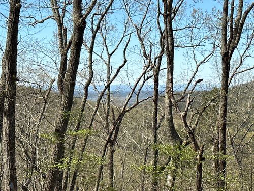 2023 Best Forest Trails in Talladega National Forest (Shoal Creek ...