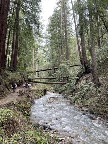 Best 10 Hikes and Trails in Henry - EyJidWNrZXQiOiJhc3NldHMuYWxsdHJhaWxzLmNvbSIsImtleSI6InVwbG9hZHMvcGhvdG8vaW1hZ2UvNTc5MzMyNDAvYjllNmVmMDNlMWYzZTM5OWYwNTRiMTllY2UwMGI4YWEuanBnIiwiZWRpdHMiOnsidG9Gb3JtYXQiOiJ3ZWJwIiwicmVzaXplIjp7IndpZHRoIjo1MDAsImhlaWdodCI6NTAwLCJmaXQiOiJpbnNpZGUifSwicm90YXRlIjpudWxsLCJqcGVnIjp7InRyZWxsaXNRdWFudGlzYXRpb24iOnRydWUsIm92ZXJzaG9vdERlcmluZ2luZyI6dHJ1ZSwib3B0aW1pc2VTY2FucyI6dHJ1ZSwicXVhbnRpc2F0aW9uVGFibGUiOjN9fX0=