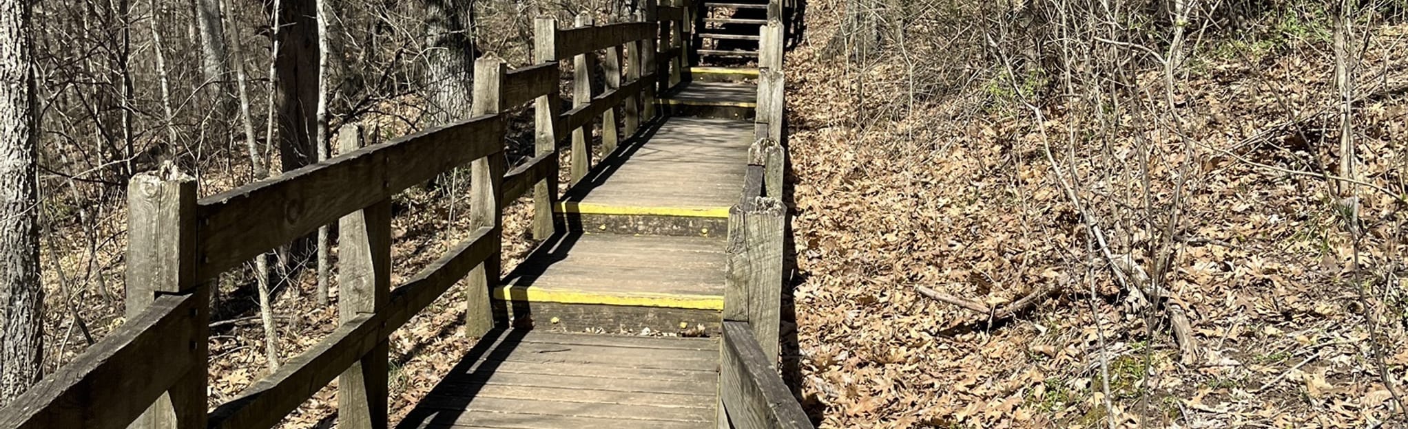 Devil's Icebox Trail, Missouri 341 Reviews, Map AllTrails