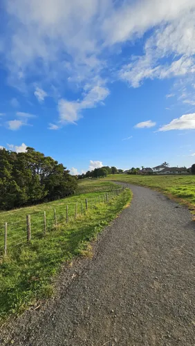 Totara park best sale bike track