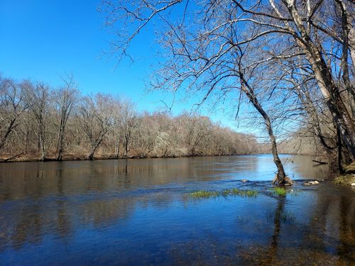 Best Hikes and Trails in Salt Rock State Park | AllTrails