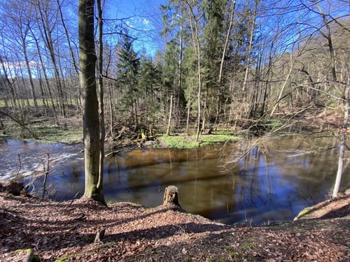 Entlang der Bille