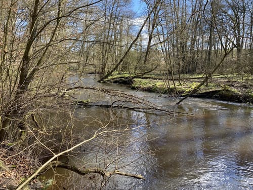 Entlang der Bille