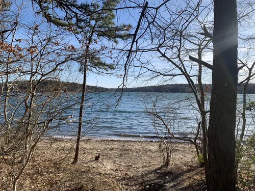 2023 Best Walking Trails in Forestdale AllTrails