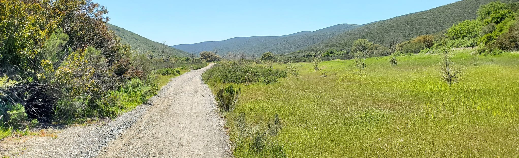 Cardiac Hill and Ridge Loop, California - 291 Reviews, Map | AllTrails