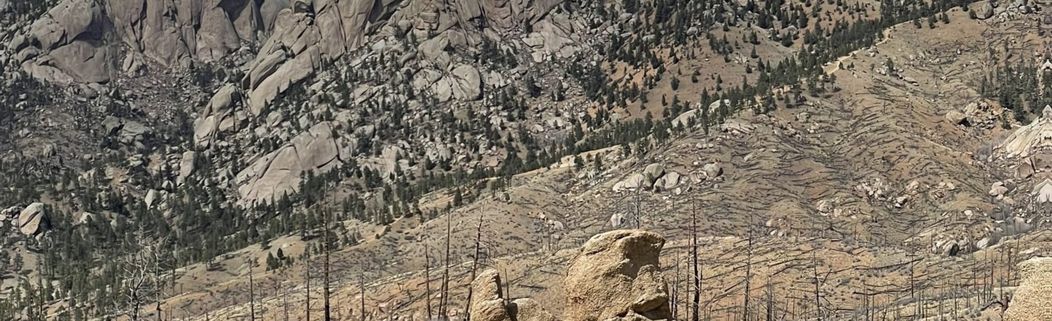Longwater Gulch OHV Trail, Colorado - 50 Reviews, Map | AllTrails