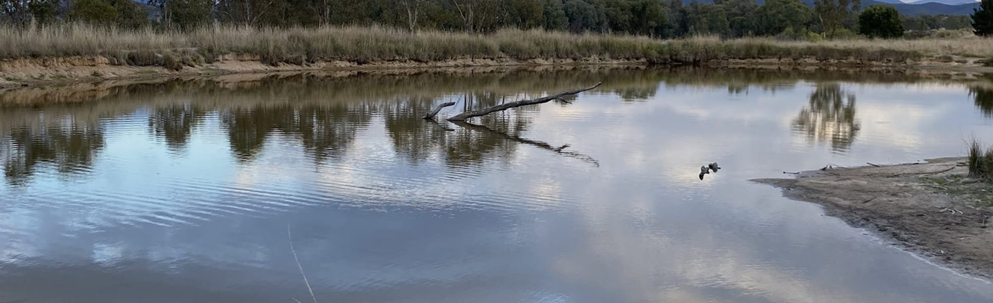 Fisher Bush Reserve Loop, Australian Capital Territory, Australia 3