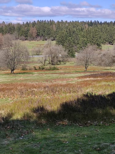 Höhenrundweg (Premiumwanderweg)