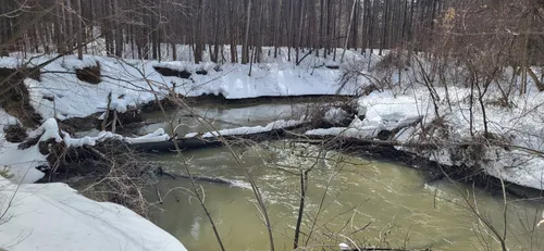 2023 Best Forest Trails in SainteGenevièveDeBerthier AllTrails