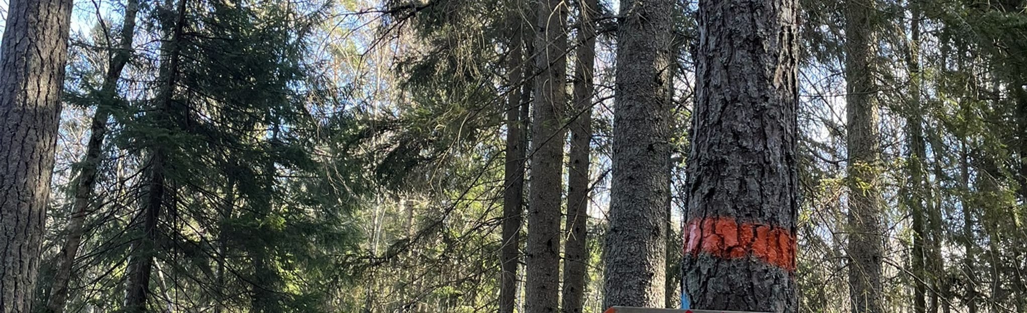 Rösjön Myspasset, Stockholm, Sweden - Map, Guide | AllTrails