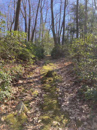 Cultural Walks: 5 Scenic Hiking Trails in Germantown – Pennsylvania