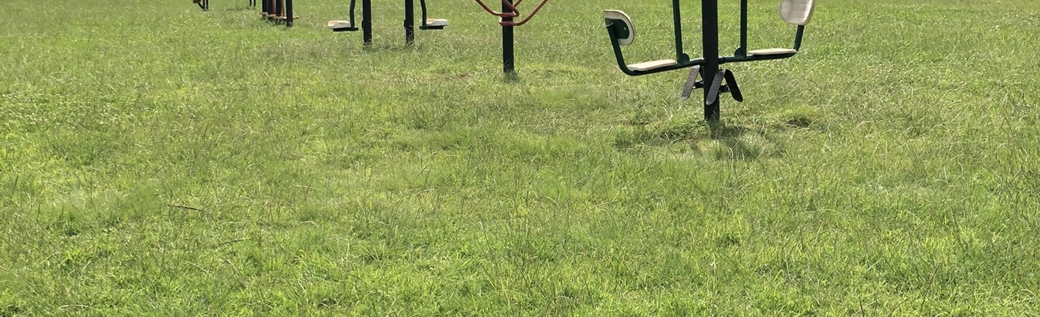 Johannesburg Botanical Gardens, Gauteng, South Africa 38 Reviews, Map