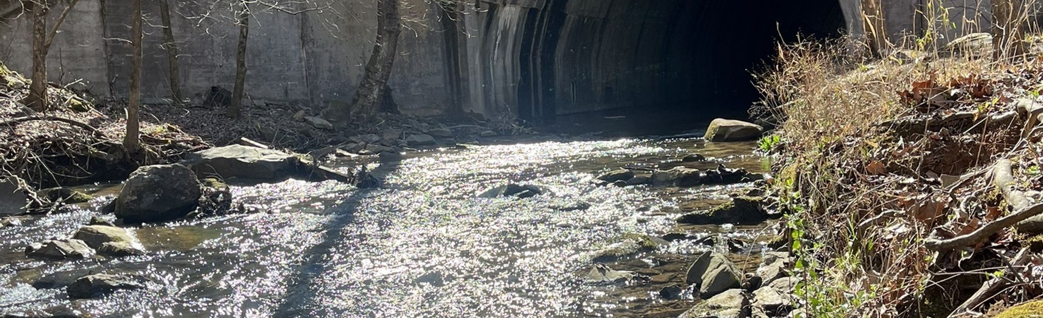 Vaughn Creek Greenway | Map, Guide - North Carolina | AllTrails