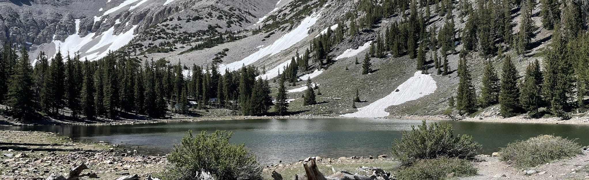 Stella Lake Trail 682 foto's Nevada AllTrails